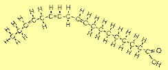 EFA Molecule images